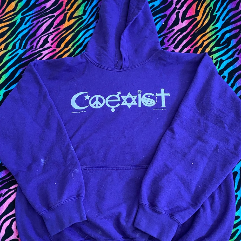 Medium purple coexist hoodie. stained no drawstrings